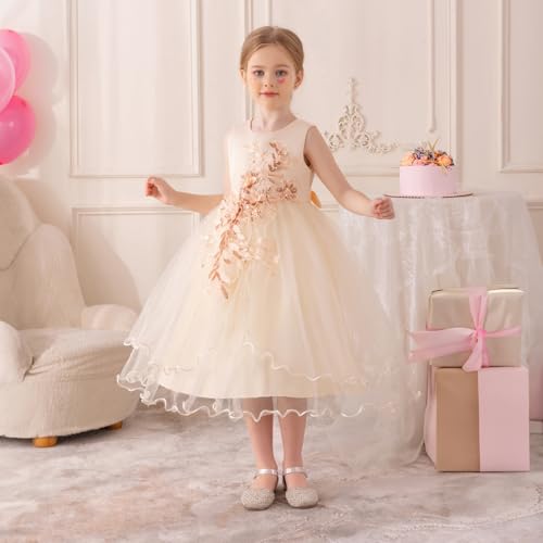 Flower Girl Dress,Toddler Formal Dress Birthday Party Wedding Floral Embroidered Tulle Satin Dresses for Kids Age 2-124