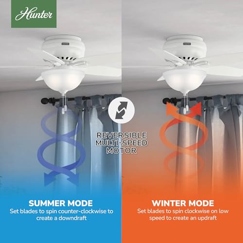 Image of Hunter Newsome, Indoor, Ceiling Fan, with LED Light, 42 inch, Fresh White