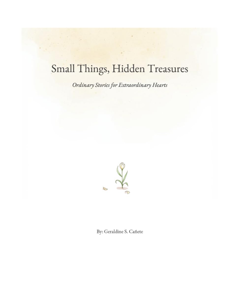 Small Things, Hidden Treasures: Ordinary Stories for Extraordinary Hearts
