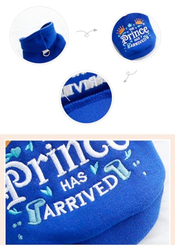 Disfraz princesa para perros AZA color azul talla S miniatura 7