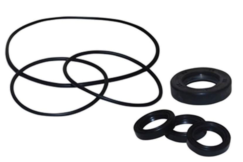 PARTSDEPOT Genuine AR1855 Oil Seal Kit Compatible with AR RK RKA RKV XRCA Pumps