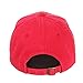 NCAA Zephyr Louisville Cardinals Mens Scholarship Relaxed Hat, Adjustable, Team Color