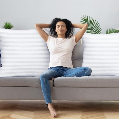 Pillows Insert 28'' x 28'' Set of 2, Decorative Euro Throw Pillows with Luxury Silky Covers for Indoor Couch, Sofa or Bed Decors, White Striped Cushion Sham Stuffer