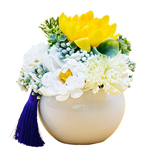 V{t[ \[vt[AWg ͂Ȃ ~Ê݂ɍœK (ق̂zCg)