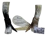Large Polished Viking Usable Drinking Horn & Stand - Reenactment Oxhorn