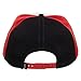 Bioworld Pokemon Adult Pokeball Adjustable Hat with Pre-Curved Bill Multi