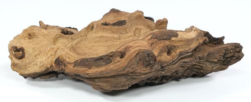 Deggelbam Mopani Root Size Nano // Racine en bois véritable pour décoration d'aquarium, crevettes, poissons d'ornement, scape dur 4 cm - 10 cm (mangrove...