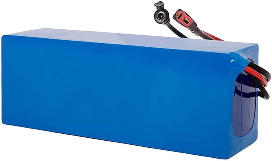 Batteria Litio Bici Elettrica 48V 42Ah BDBLFLTZ - Con Caricabatterie, BMS Integrato, Per Motori 200-1500W - Foto 9