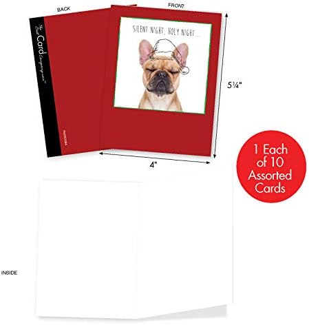 The Best Card Company - 10 Blank Christmas Note Cards - Pet Cats and Dogs,  Boxed Xmas Animal Cards for Kids (4 x 5.12 Inch) - Holiday Dogs and Doodles  ...