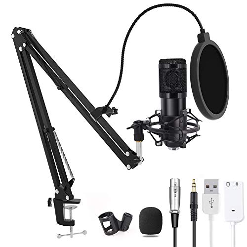 Computer Microphone