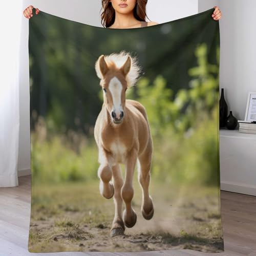 Couvertures moelleuses imprimé cheval pour soirées cocooning