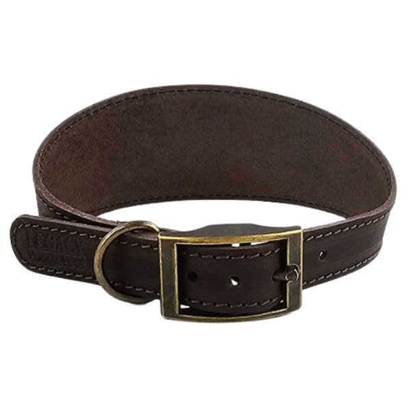 HugglePets Leather Greyhound Whippet Lurcher Dog Collar (Chocolate, Small)