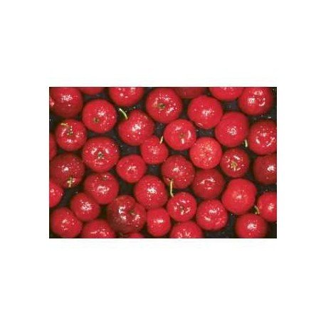 Acerola POLVO 250 g Malphighia punicifolia