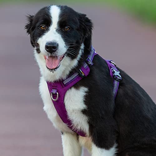 WINHYEPET Harnais pour Chien, Antidéflagrant et Imperméable(Violet,S)