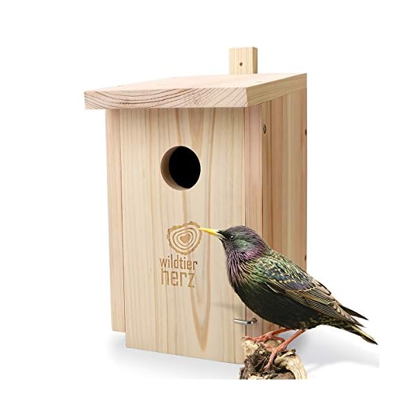 wildtier herz I Großer Nistkasten für Stare aus verschraubtem Massiv-Holz - Nistkästen für Vögel, Vogelhaus Brutkasten…