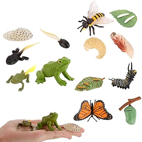 JOKFEICE 13pcs Insect Toys Life Cycle of Butterfly, Honey Bee & Frog Action Model, Plastic Bug Figurines Toy, Early Educational Toys Science Project Christmas Birthday Gift for Kids Cover