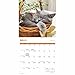 Cat Naps Calendar 2026