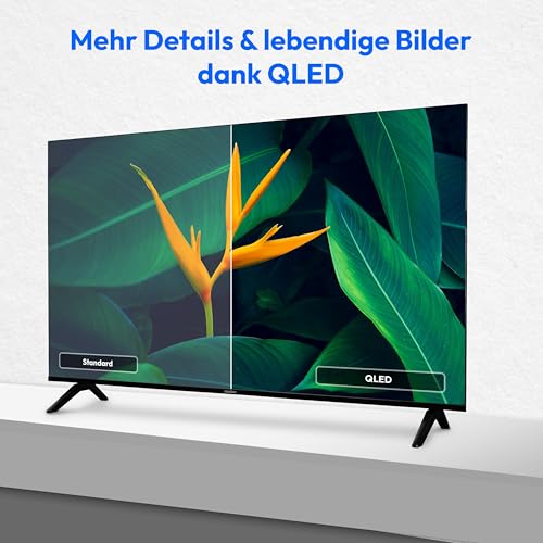 MEDION 125,7 cm (50 Zoll) QLED Fernseher (Smart-TV, Dolby Vision HDR, HBO Max, MagentaTV, Prime Video, Disney+, DAZN, Paramount+, Dolby Atmos, VIDAA Store, HbbTV, PVR, Bluetooth, MD 850601) 4