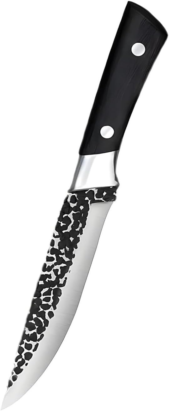 Hand Forged Stainless Steel 6.7 Inch Japanese Slicing Knife Boning Fillet Knife Butcher Knife Deboning Knife for Meat with Abs Handle (Set of 1), Black