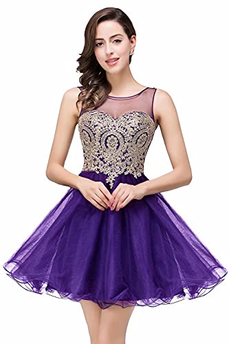 Robe Femme Chic de Soirée en Applique Dentelle Florale Mi Longue Elégante Robe de Cérémonie Appliques Brillante Dos Nu Pourpre 36