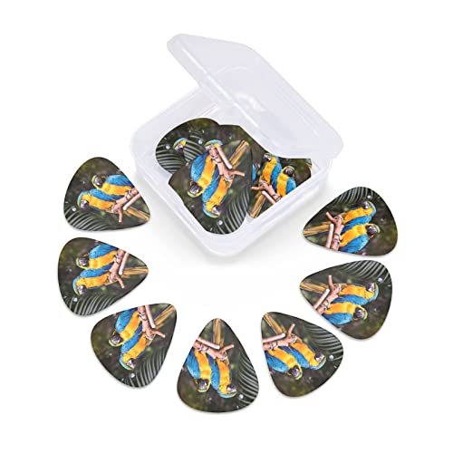 Médiators Guitare 12-Pack Perroquets Médiators Guitare Électrique Guitare Acoustique Diverses Guitares - Les Beatles, Paul McCartney, John Lennon, RIngo Starr, George Harrison Médiators Guitare 12-Pack Perroquets Médiators Guitare Électrique Guitare Acoustique Diverses Guitares – Image 6