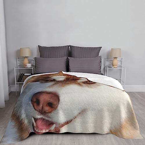 Couverture flanelle Huskies cadeau idéal douce et chaude maison
