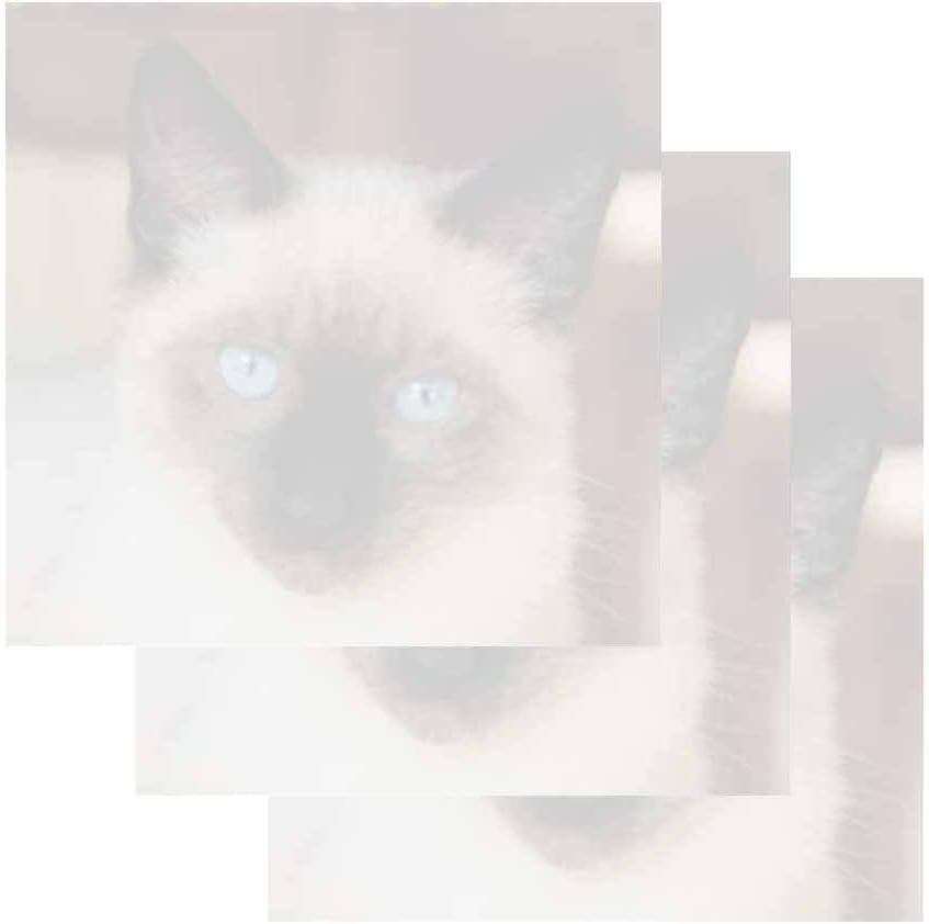 Siamese Cat Sticky Notes - Set of 3 - Stationery Gift - Animal Design Theme - Paper Memo Pad - Office Business School Supplies