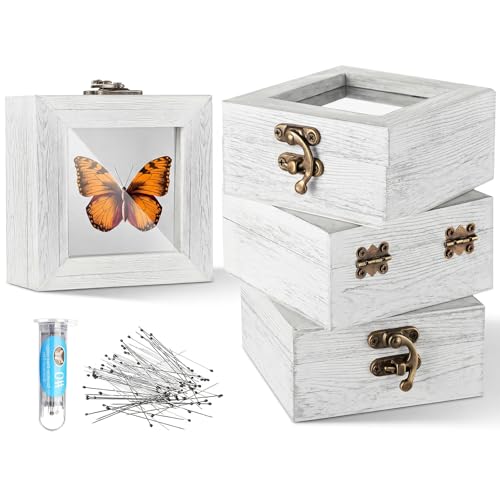 Image of Reallnaive 4 Pcs Insect Pinning Kit 4 inch Wooden Display Case Box, EVA Foam Insect Pinning Board, 100 Bug Pins for Butterfly Specimen Bugs Collection Tools (White)