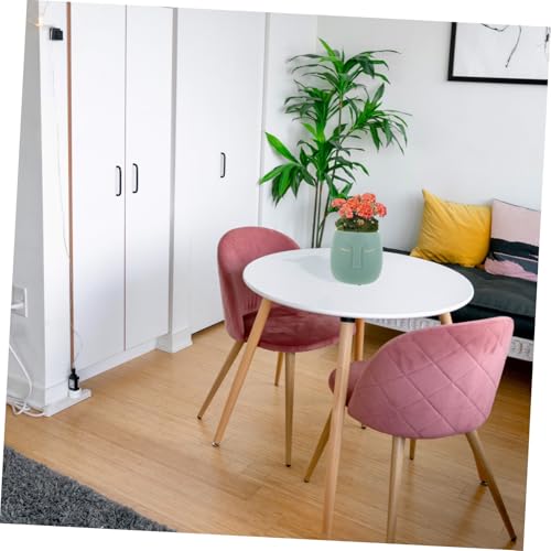 Jardinière intérieure et extérieure pour plantes succulentes - 4