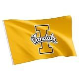 Desert Cactus University of Idaho Vandals Flag 3x5 Ft Outside (#1)