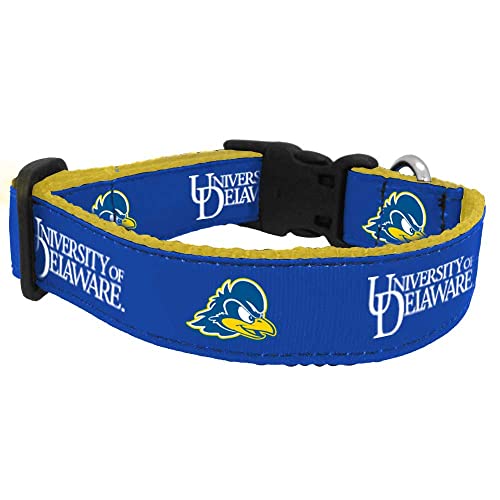 Collier de chien NCAA Homme All Star Dogs pour grands et moyens chiens