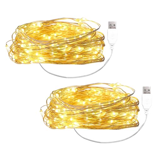 ENLACE 2 Stück LED Lichterkette mit USB, 2M 20 LED Warmweiß...