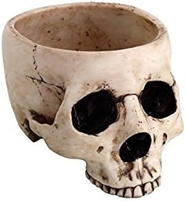 Skeleton Skull Medium Kitchen Bowl Figurine