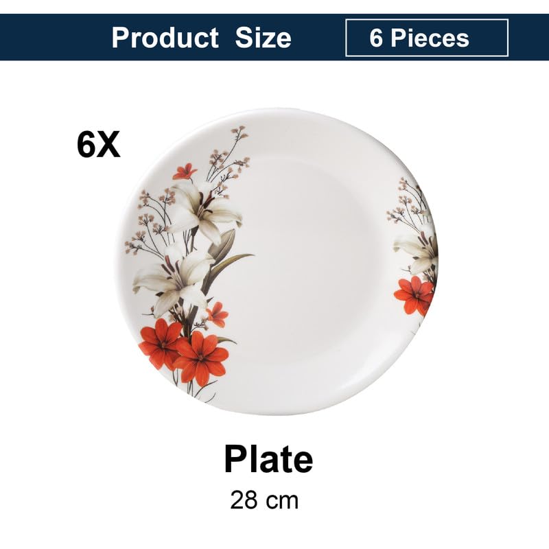 Image of Golden Fish 6 Pieces Dinner Plate Set for Kitchen | Premium Quality Round Plates for Daily Use | Durable, Lightweight & Easy to Clean | Ideal for Home, Dining & Gifting 5