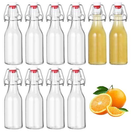 DUBUOZA 10 Botellas Cristal 250 ml con Tapón Hermético,bouteille en Verre,Adecuado para almacenar cerveza, aceite de oliva, vinagre, jugo, jarabe