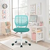 【Facilité d'Assemblage】: Livrée avec des instructions claires pour un montage facile. Aucune compétence technique requise, ce qui vous permet d'utiliser votre chaise en un rien de temps.