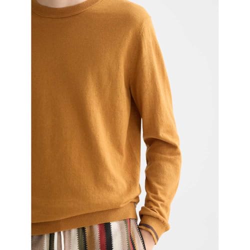 Pull homme Scotch & Soda regular crew neck en coton pour la mi-saison