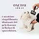 FLUIDOPET Oneday Spray – regenerierendes und pflegendes Pflegemittel, 100 ml.