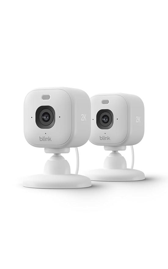 Blink Mini 2K+ (newest model)