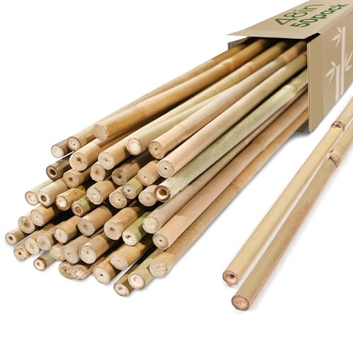 Cambaverd Bamboo Stakes, 50 Pack Bamboo Stakes 4ft, Natural Garden Stakes for Tomatoes and Climbing Plant Support, Sturdy Bamboo Sticks for Plants