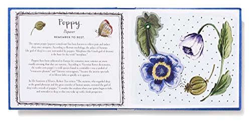 Thinking of You (UpLifting Editions): Turn this Book into a Bouquet - Thumbnail 3