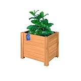 WOODYGIFT Hochbeet Holz 40x35 – Balkon Hochbeet mit Rankgitter für Kräuter, Gemüse & Blumen –...