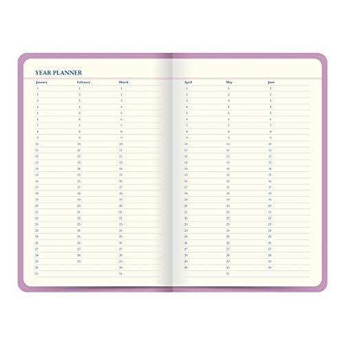 Journal de voyage Letts Icon rose carnet de notes papier crème - 5
