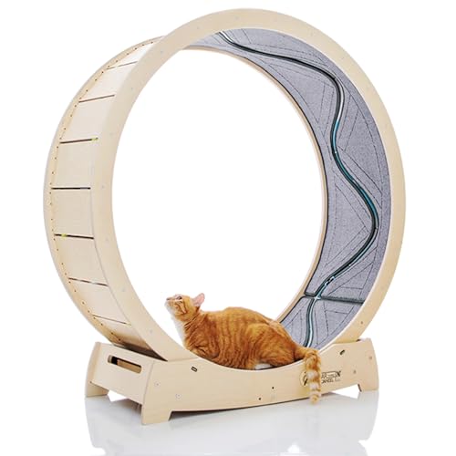 Star Cat Wheel, Cat Treadmill, Exercise Wheel for Running, Spinning, Scratching, and Climbing for Indoor Cats, Premium Birch Wood, Eco-Friendly, Moving Fish, Wide Running Track, 41.7 inch L Size