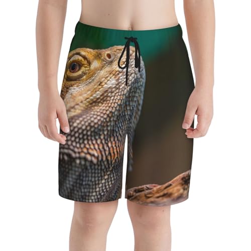 Peynir Bearded Dragon Reptile Teen Boys Beach Shorts Swim Trunks Casual Board Shorts for 7-20 Years