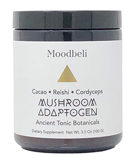 Moodbeli - Organic Mushroom Adaptogen: Cacao Chaga Cordyceps (2.99 oz / 85 g)