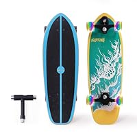 Nattork Complete Skateboards 29\ x 8\ Kids Unisex Youth Skateboard Cruiser Skateboards for Beginners Double Kick Deck Concave Girls Skateboard with Maple Wood (Seal Tide)