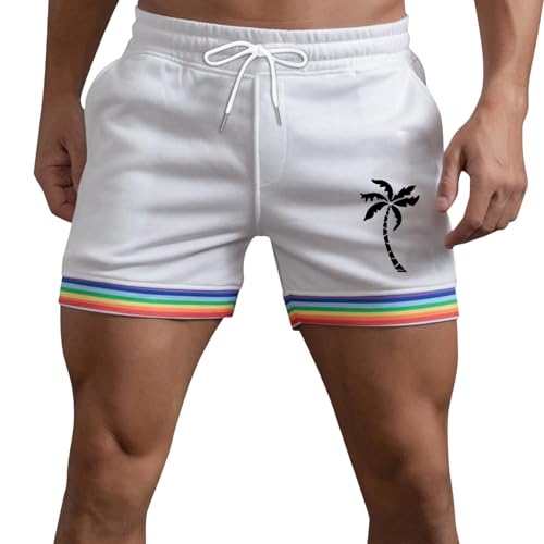 Generico Pantalones cortos de verano para hombre con estampado de palmeras de coco secado rápido playa correr para deporte Bermudas LGBT arco iris rayas patchwork baño gay deportes running colorido