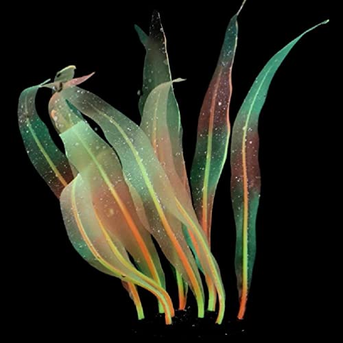 Aquarium Artificial Kelp Soft Silicone Plant Move With Water Flows 7 Inch High Realistic Seaweed Fish Tanks Decorations Silicone Seaweed Aquarium Plant Kelp Aquarium Plant Decor Realistic Fish Tanks