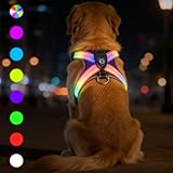 LED Hundegeschirr Leuchtend - Bequemes Leuchtgeschirr für Hunde, 7 Farben & Blinkmodi - USB-C Aufladbar, 11h Laufzeit - Für Mittelgroße Hunde 8-25kg